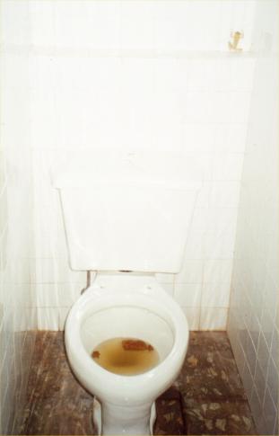 AE_1_27.jpg - A Cuban toilet with a frog