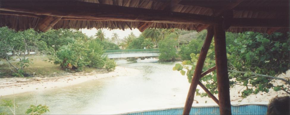 AE_1_38.jpg - A Cuban river (view from the hut)