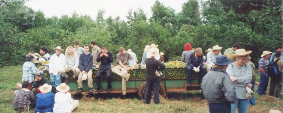 AE_3_36.jpg - Come - let us celebrate another successful orange harvest by sitting on the orange-trailer.