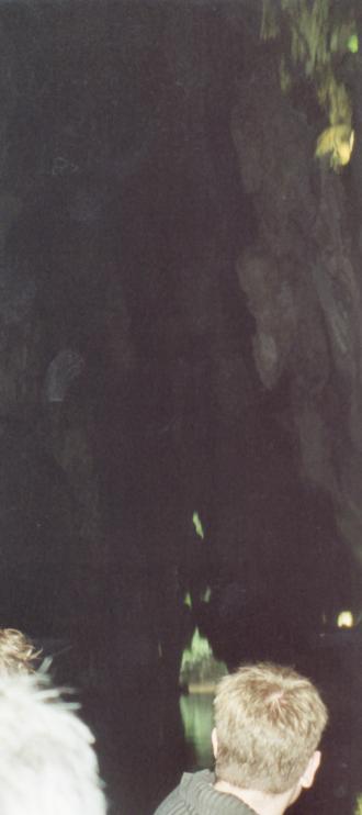 AE_4_36.jpg - Viñales: Leaving the cavernous cavern by boat #1